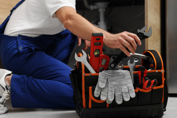 Best Commercial Plumbing Services  in Madison, SD